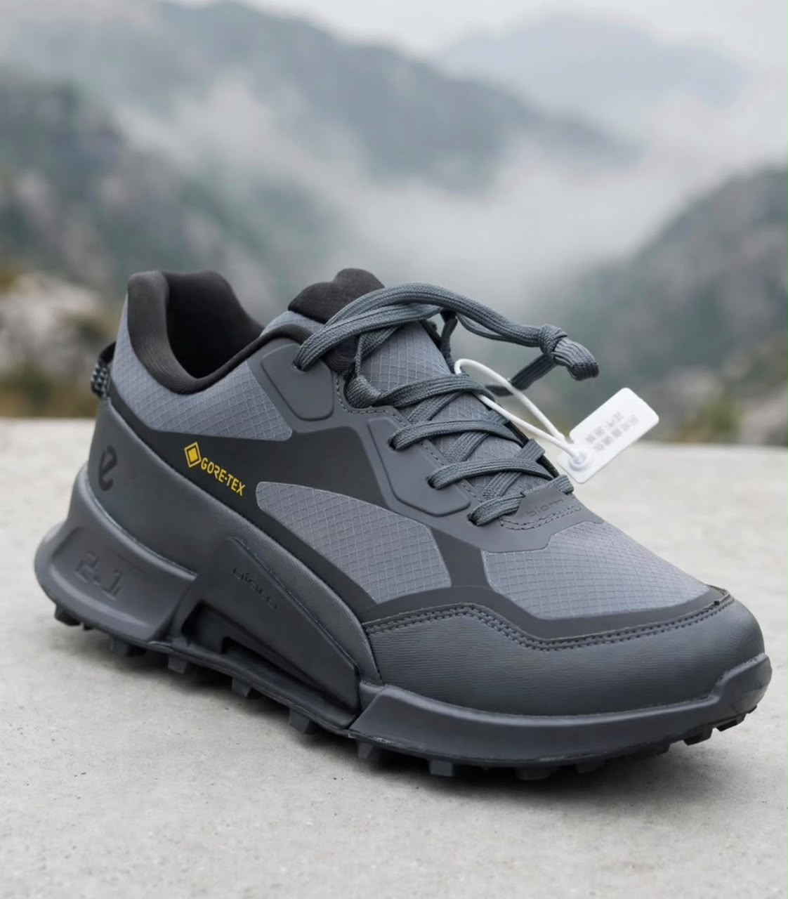 ECCO BIOM 2.1 X Mountain men's athletic hiking sneaker