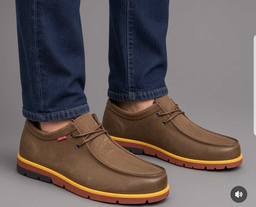 Levi's Urbancraft  gentle casual shoes