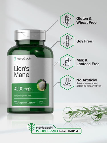 Horbäach Lion's Mane for brain boosting